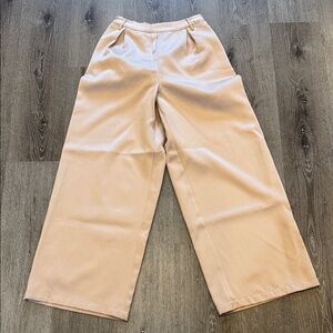 Wide Leg Pleated Pants in Light Beige